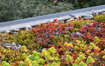 the cost of Hooley green roof installation